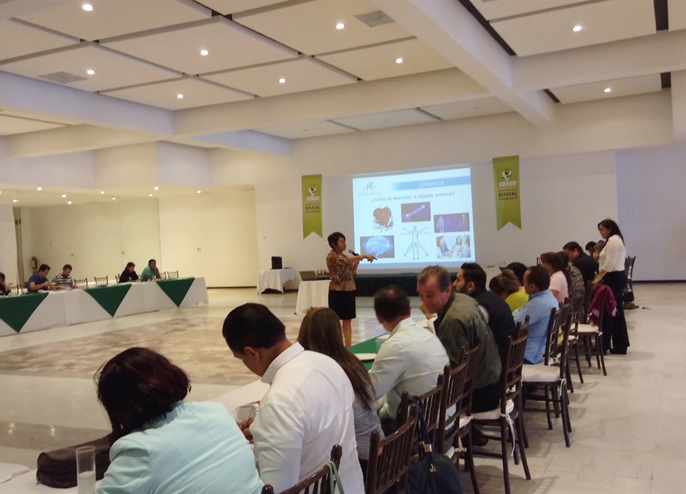 Sesión de diagnóstico organizacional H ADVANCE