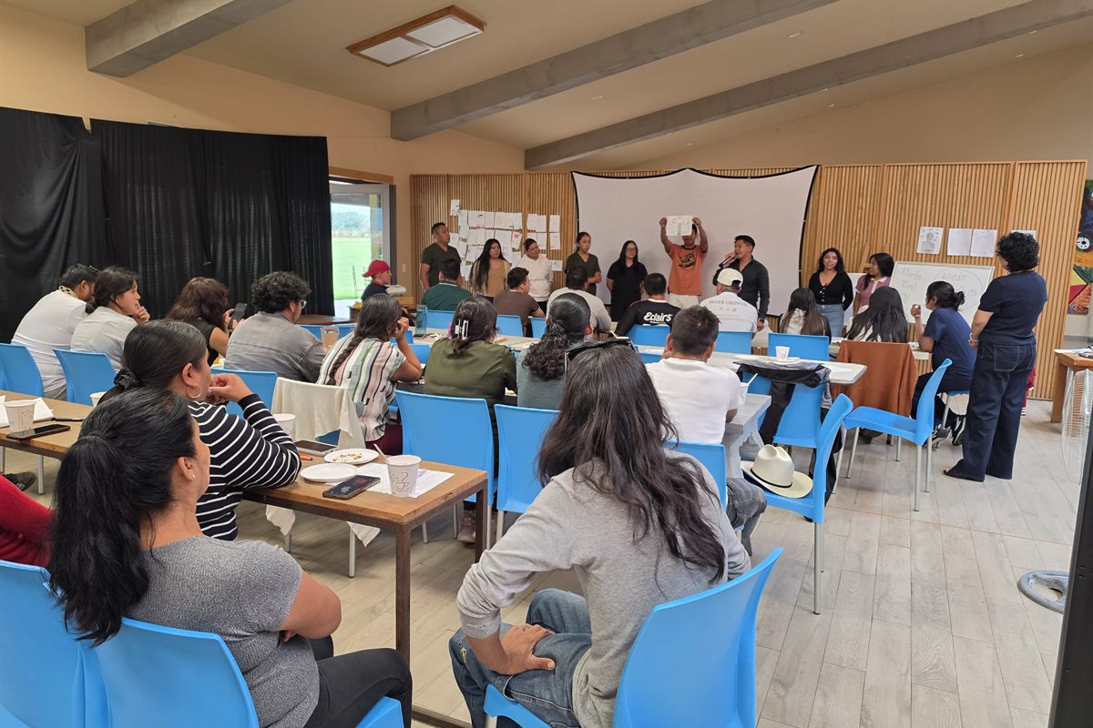 Taller y diagnóstico organizacional H ADVANCE